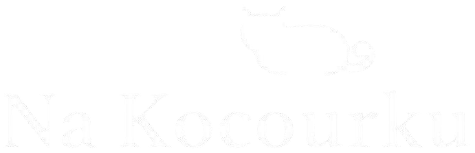 Restaurace Na Kocourku